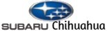 Logo Subaru Chihuahua