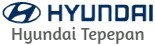 Logo Hyundai Tepepan 