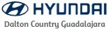 Logo Hyundai Dalton Country Guadalajara