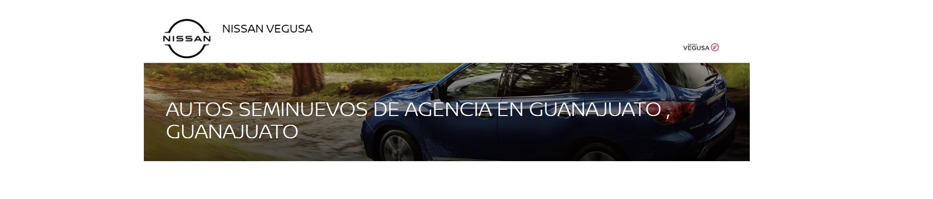 Nissan Vegusa Guanajuato