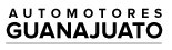 Logo Stellantins - Automotores Guanajuato