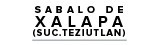 Logo Stellantins - Sabalo de Xalapa Suc. Teziutlán