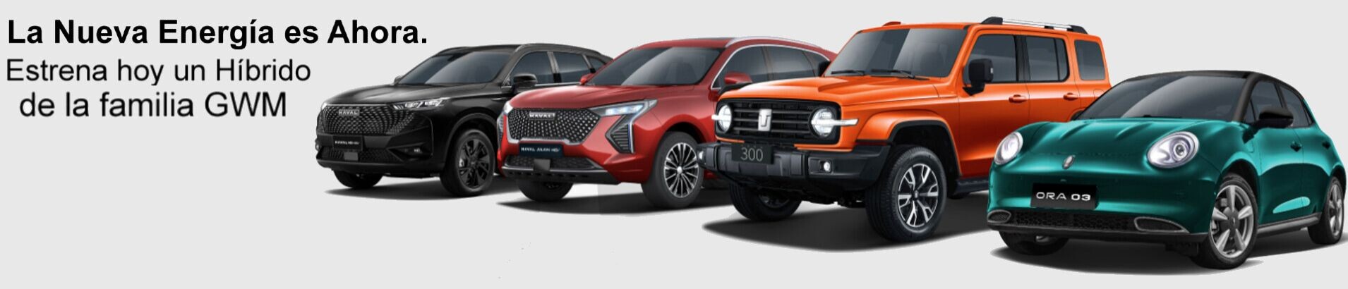 GWM Irapuato