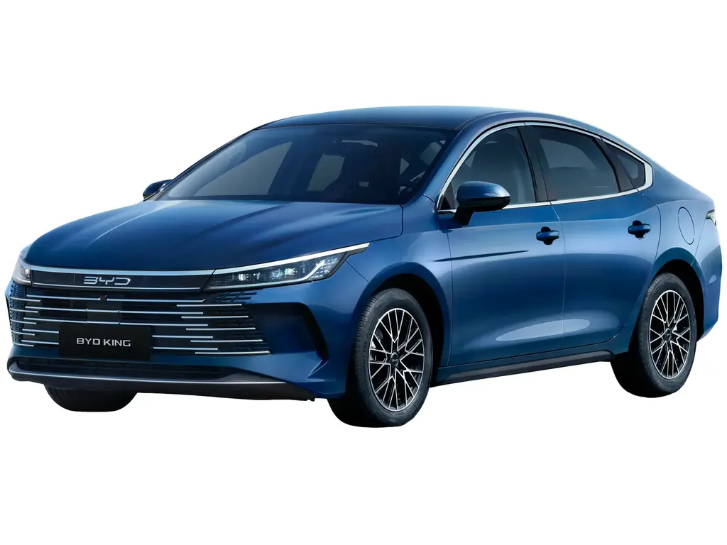 BYD King