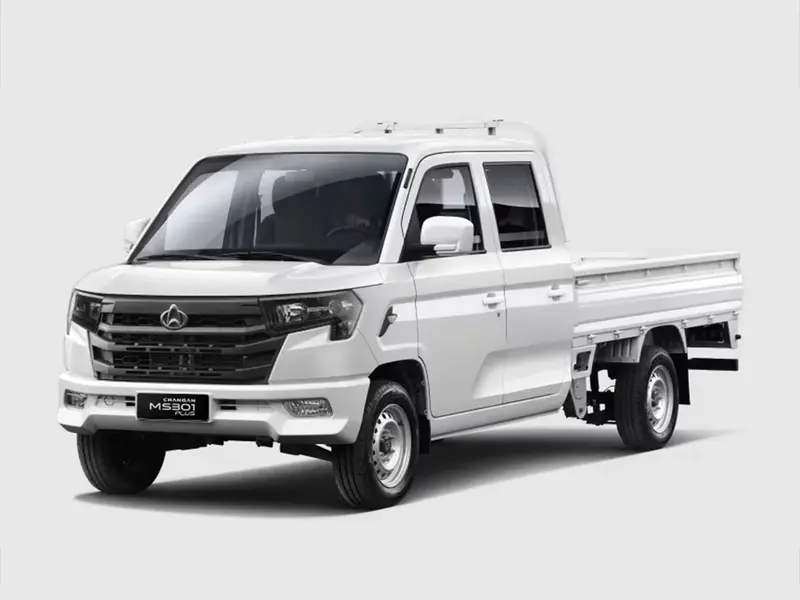 Changan MD301 Plus Cargo Box