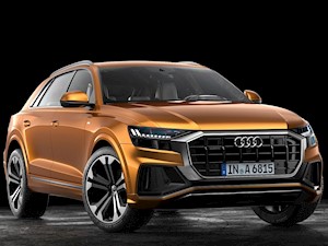 Audi Q8 55 TFSI quattro nuevo color A eleccion precio u$s174.400