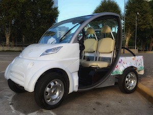 foto Sero Electric Cargo Bajo
