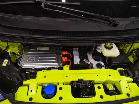 BYD Dolphin Mini