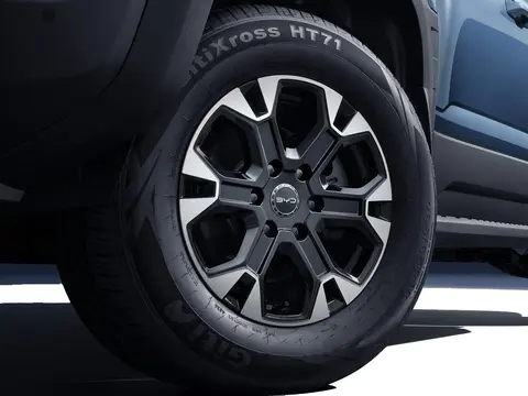 BYD Shark DMO