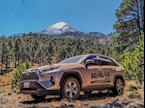 Toyota RAV4 HEV