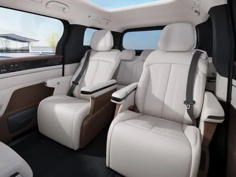 BYD M9