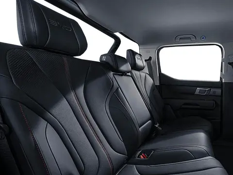 BYD Shark DMO