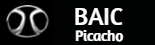 Logo de BAIC Picacho Pedregal