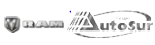 Logo RAM Prestigio Motriz