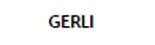 Logo de GERLI AUTOMOTORES S.A.