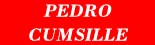 Logo de Pedro Cumsille