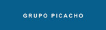 GRUPO PICACHO