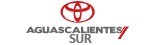 Logo de Toyota Aguascalientes Sur