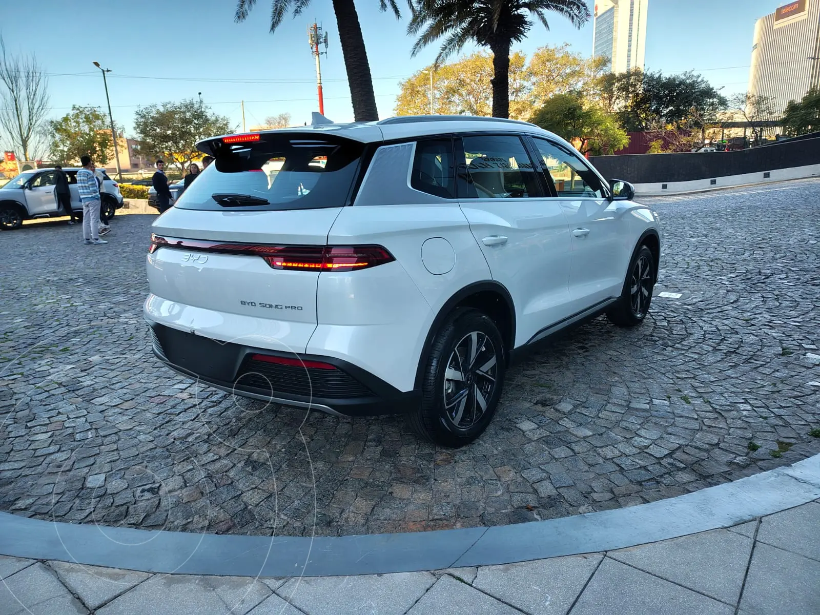 Miniatura 8