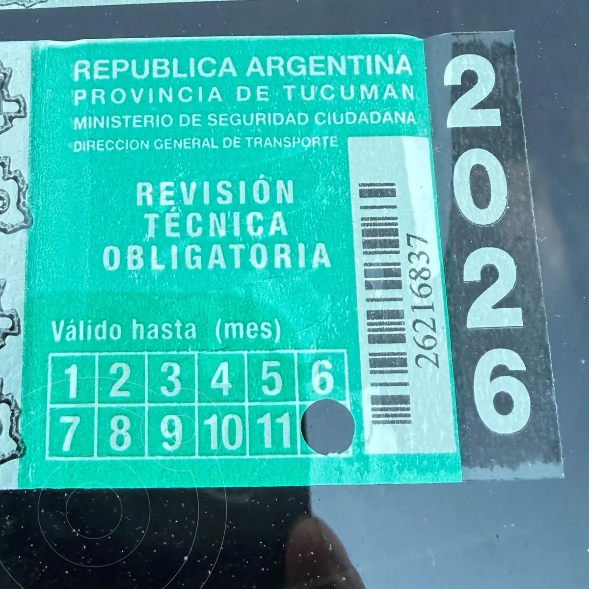 Miniatura 7
