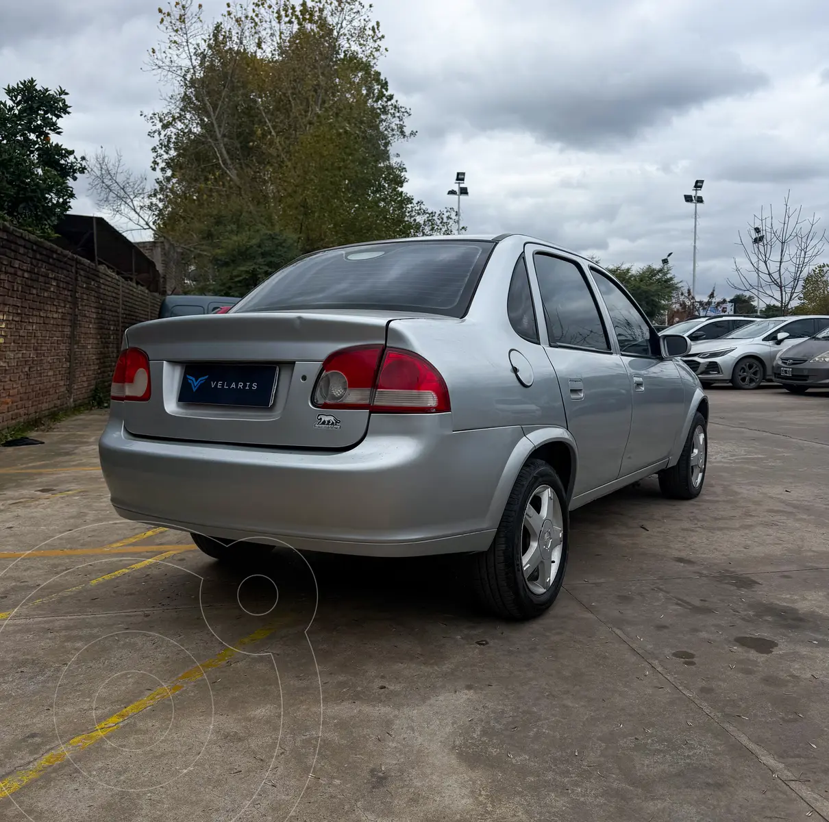 Miniatura 7