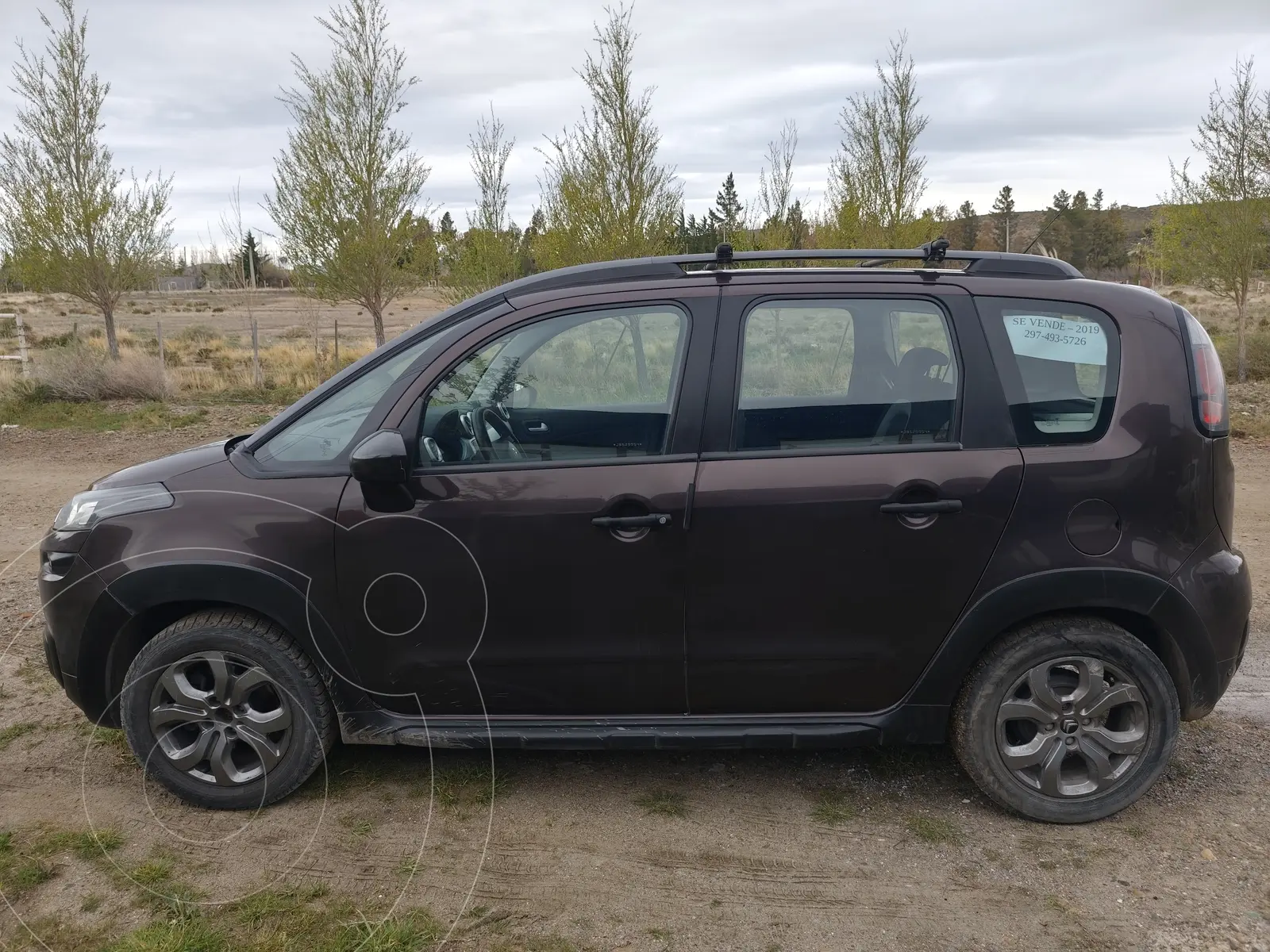 Miniatura 3