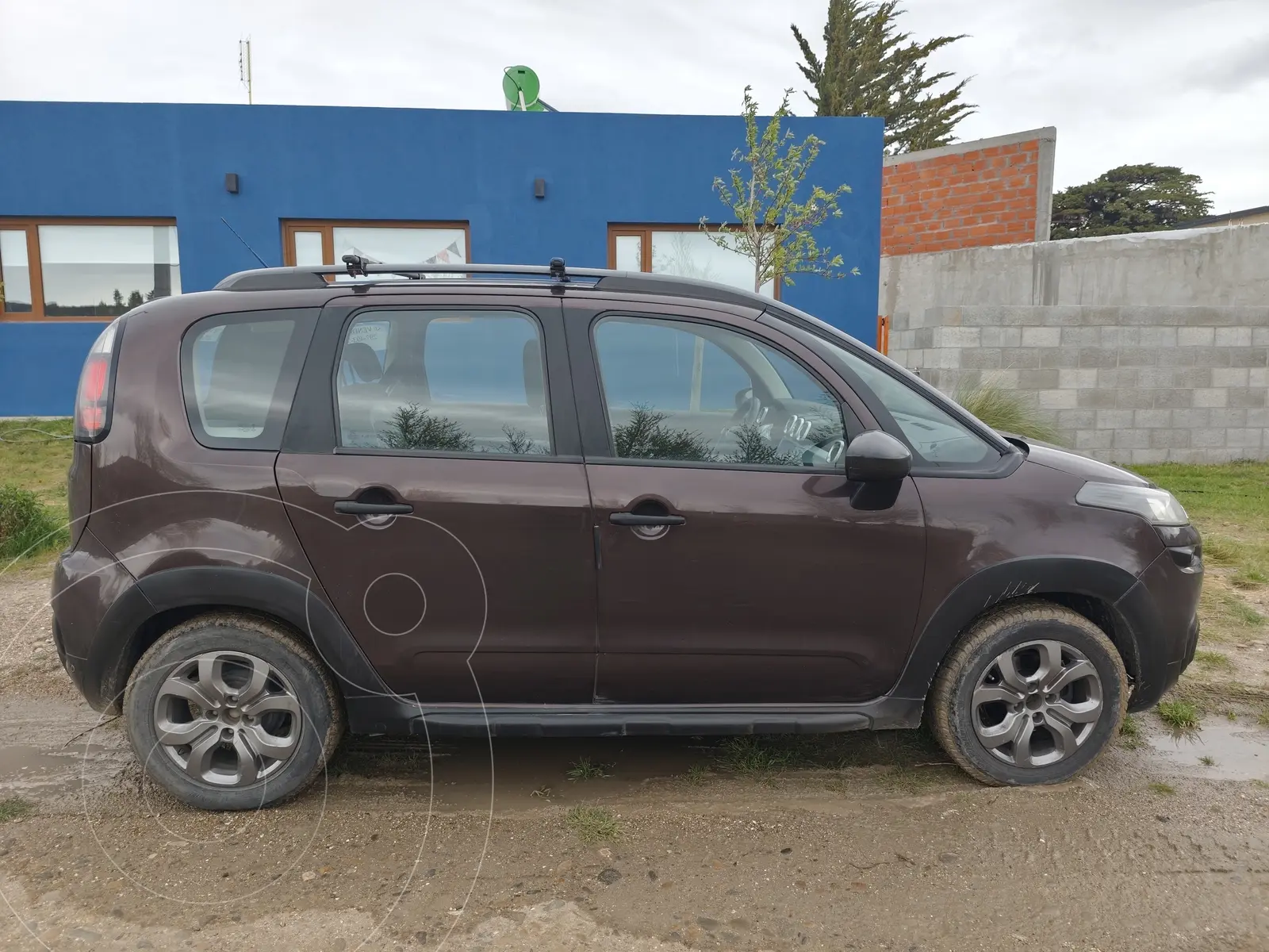Miniatura 5
