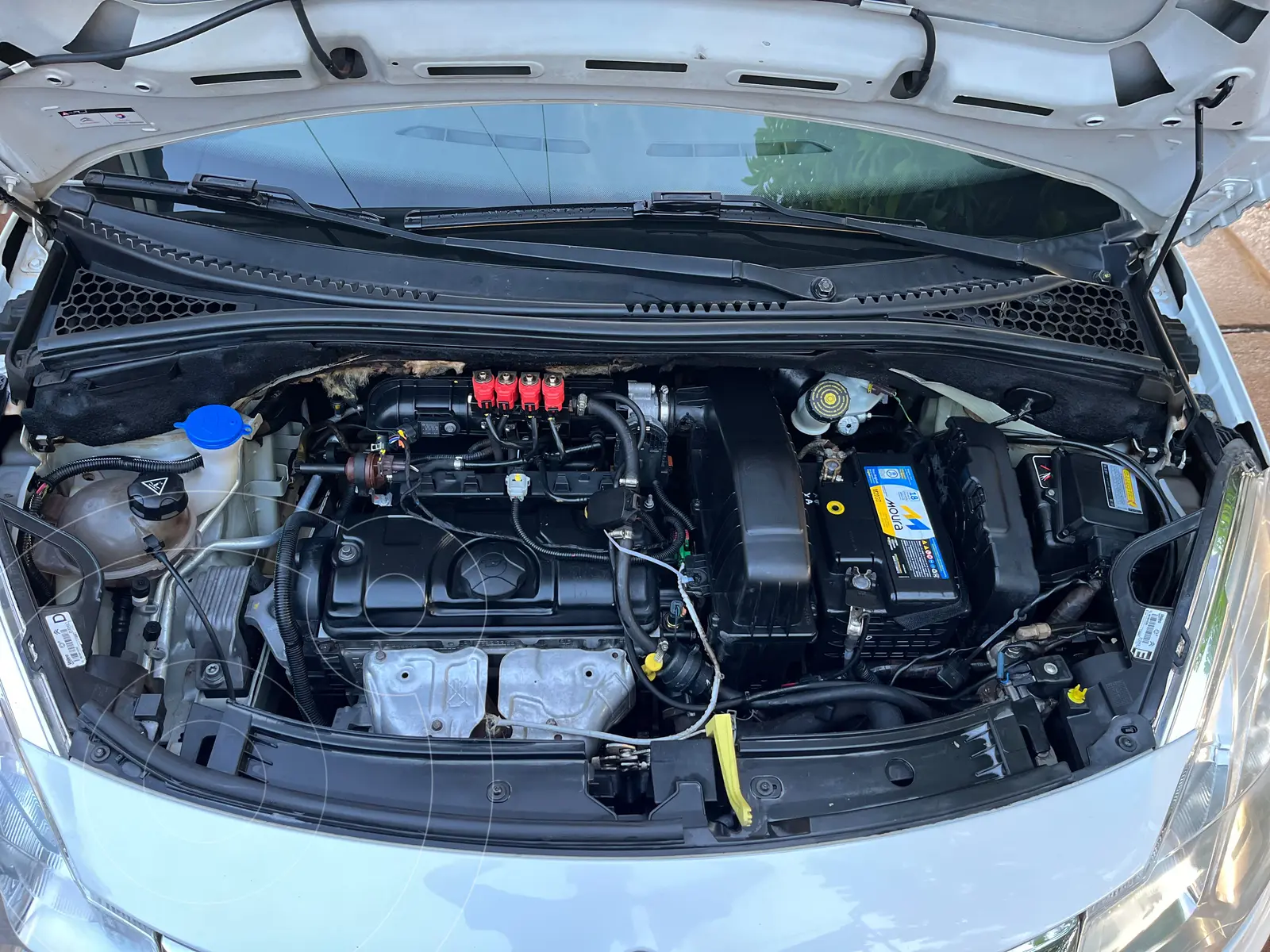 Miniatura 4