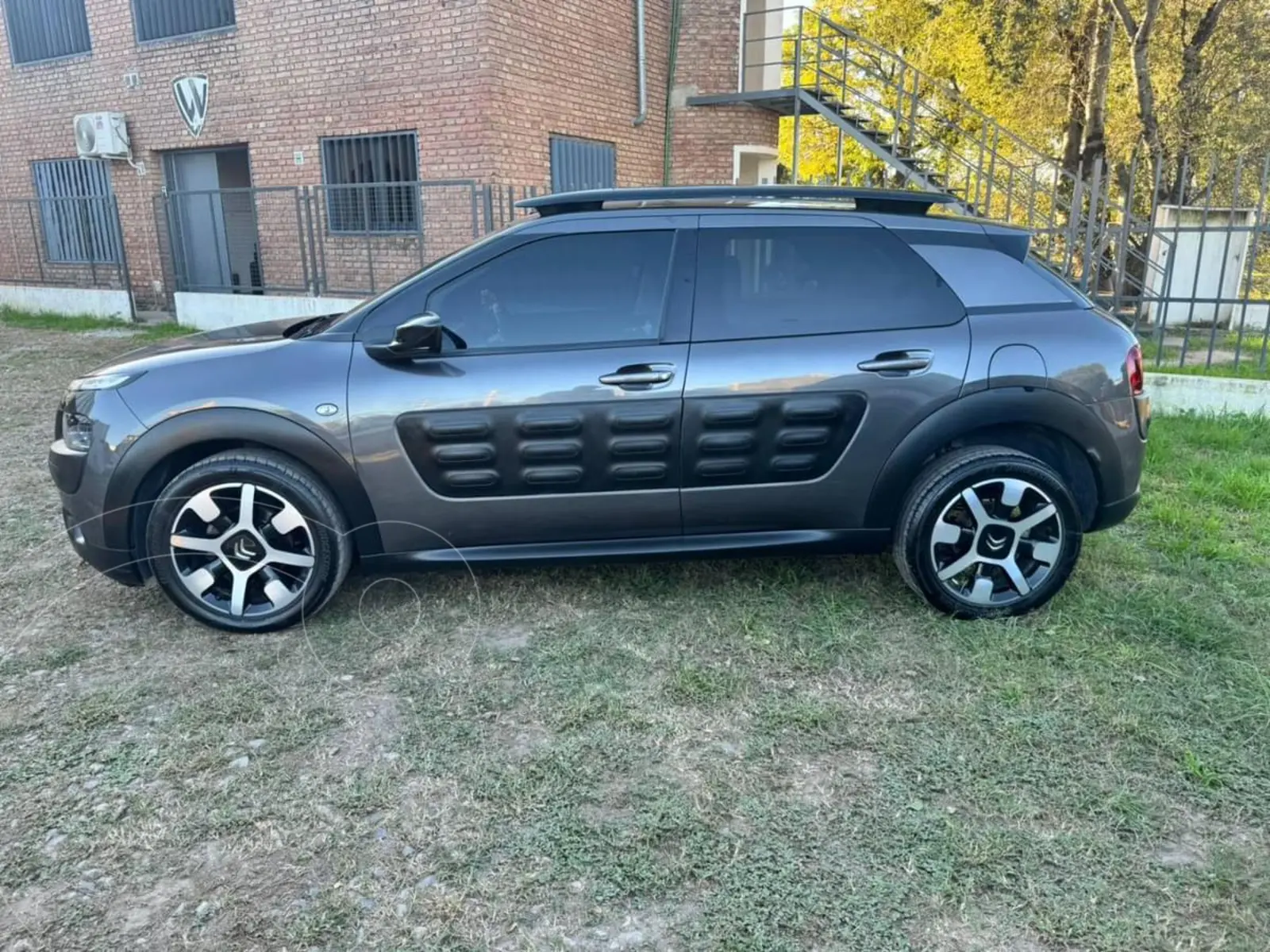 Miniatura 6