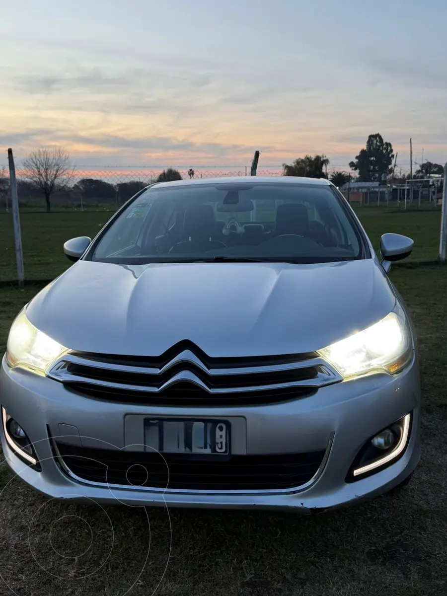 Miniatura 7