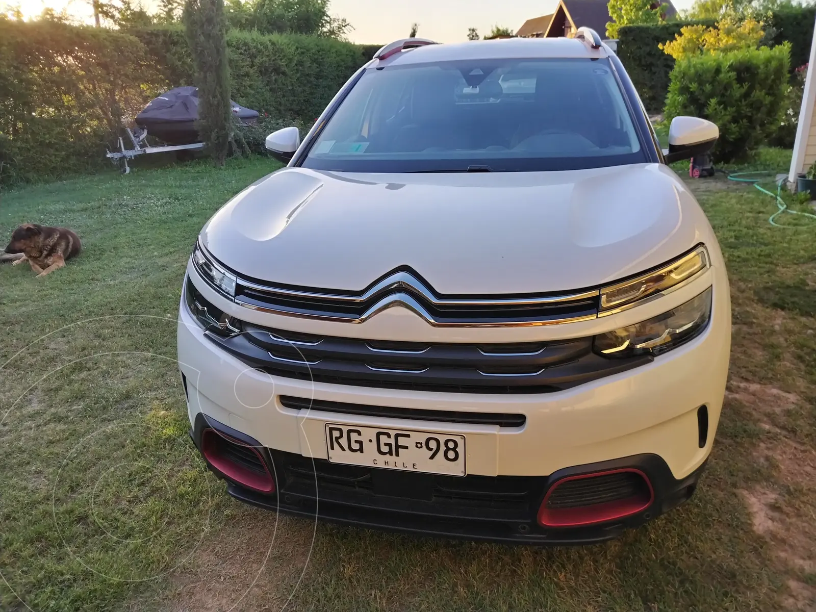 Citroën C5 Aircross 1.5L BlueHDi 130 S&S BVM6 Live