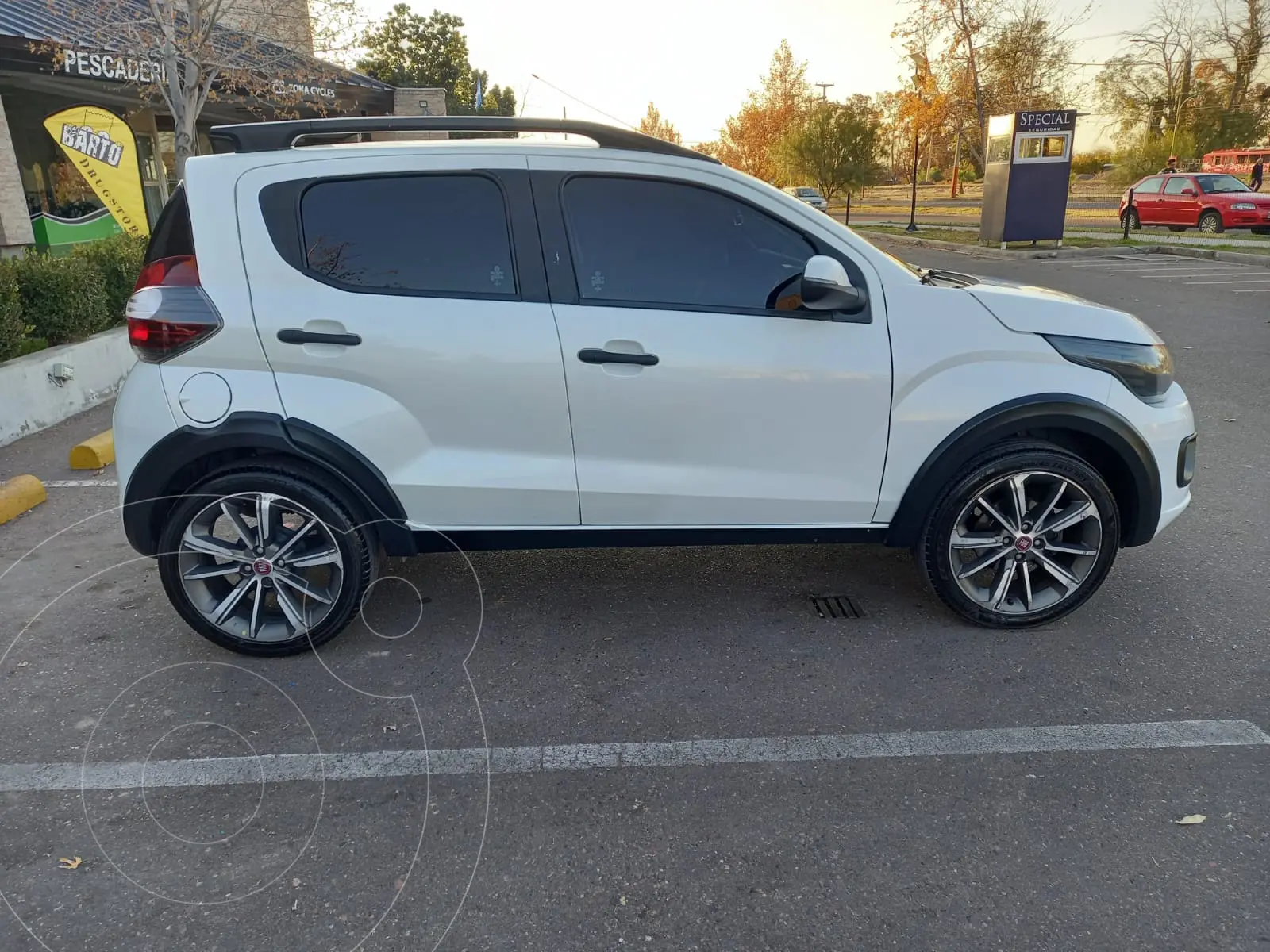 Miniatura 5