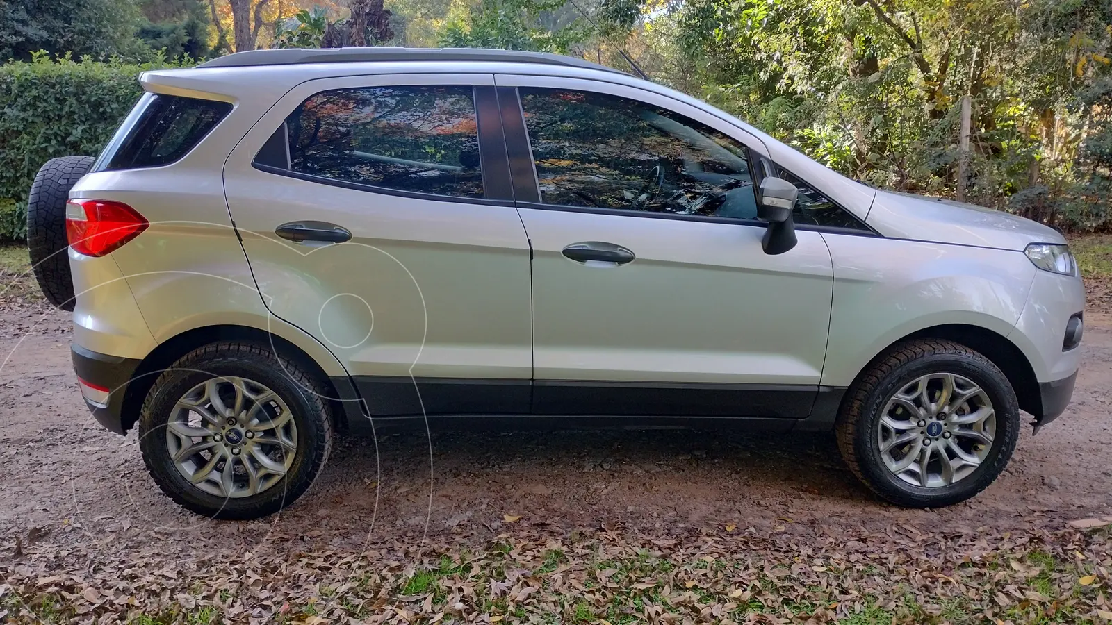 Miniatura 7