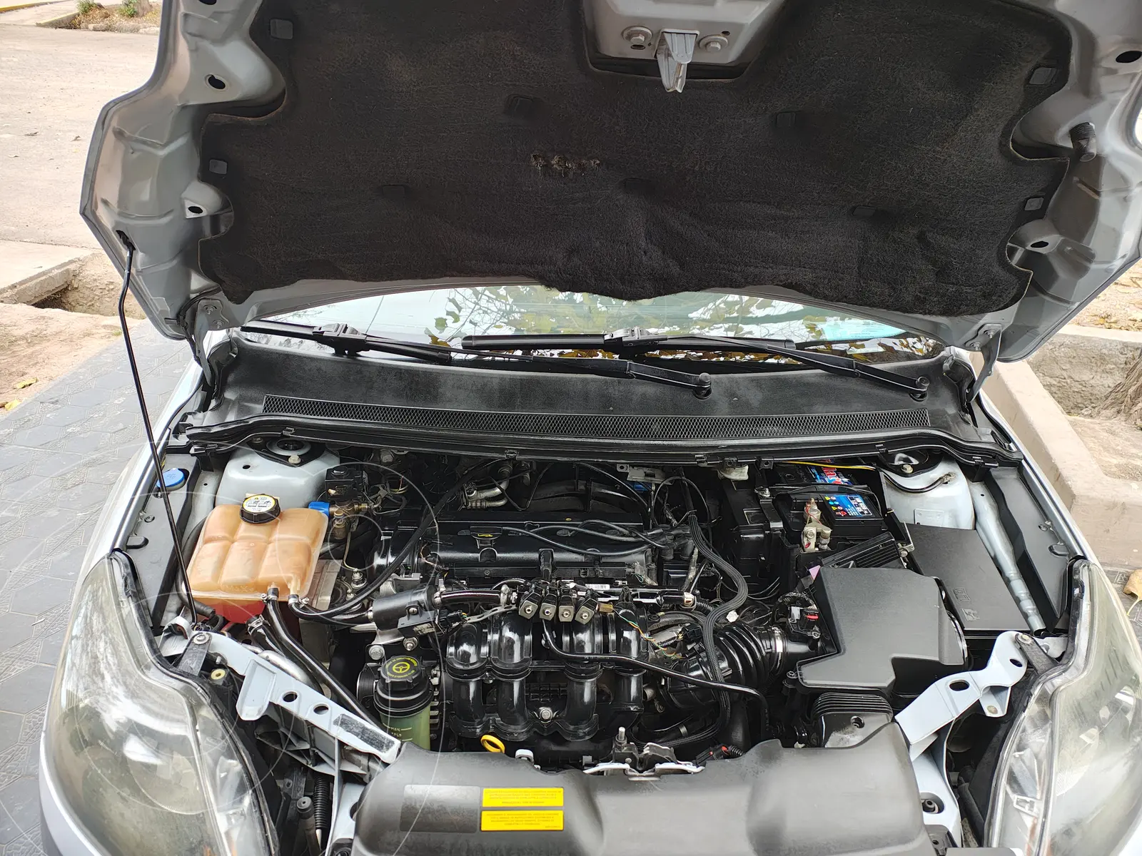 Miniatura 5