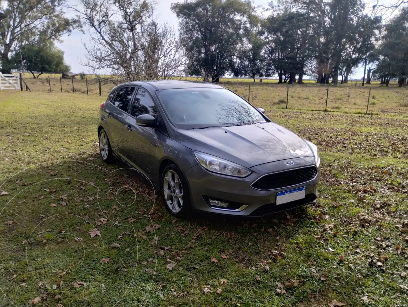 Miniatura 5