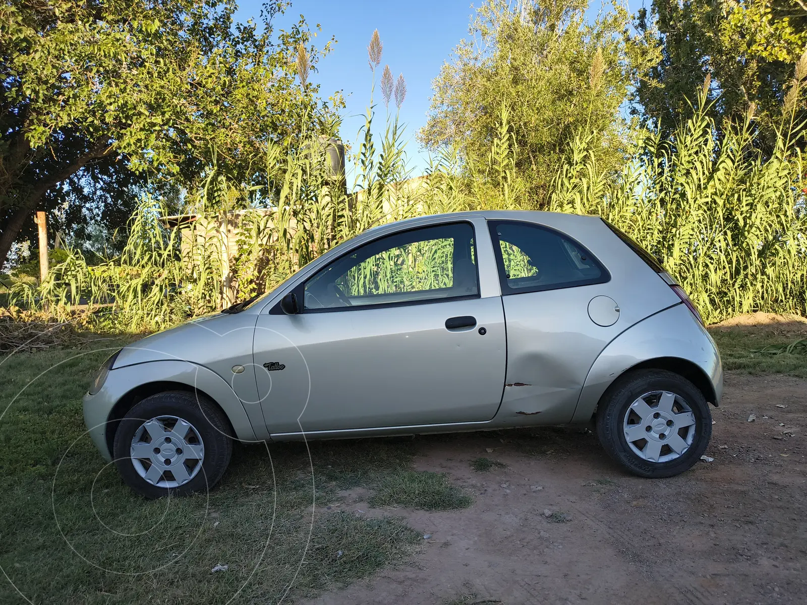 Miniatura 4