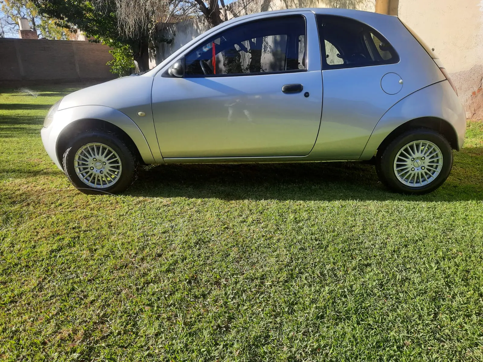 Miniatura 5