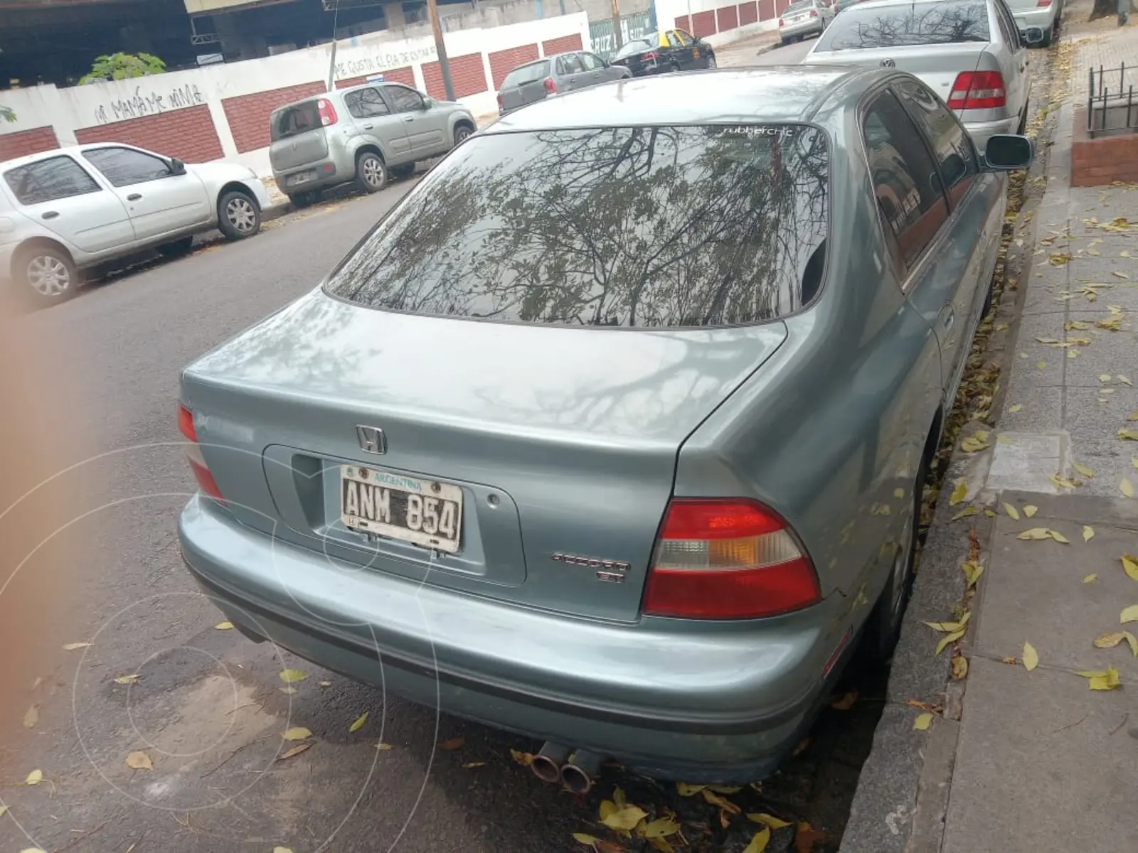 Miniatura 7