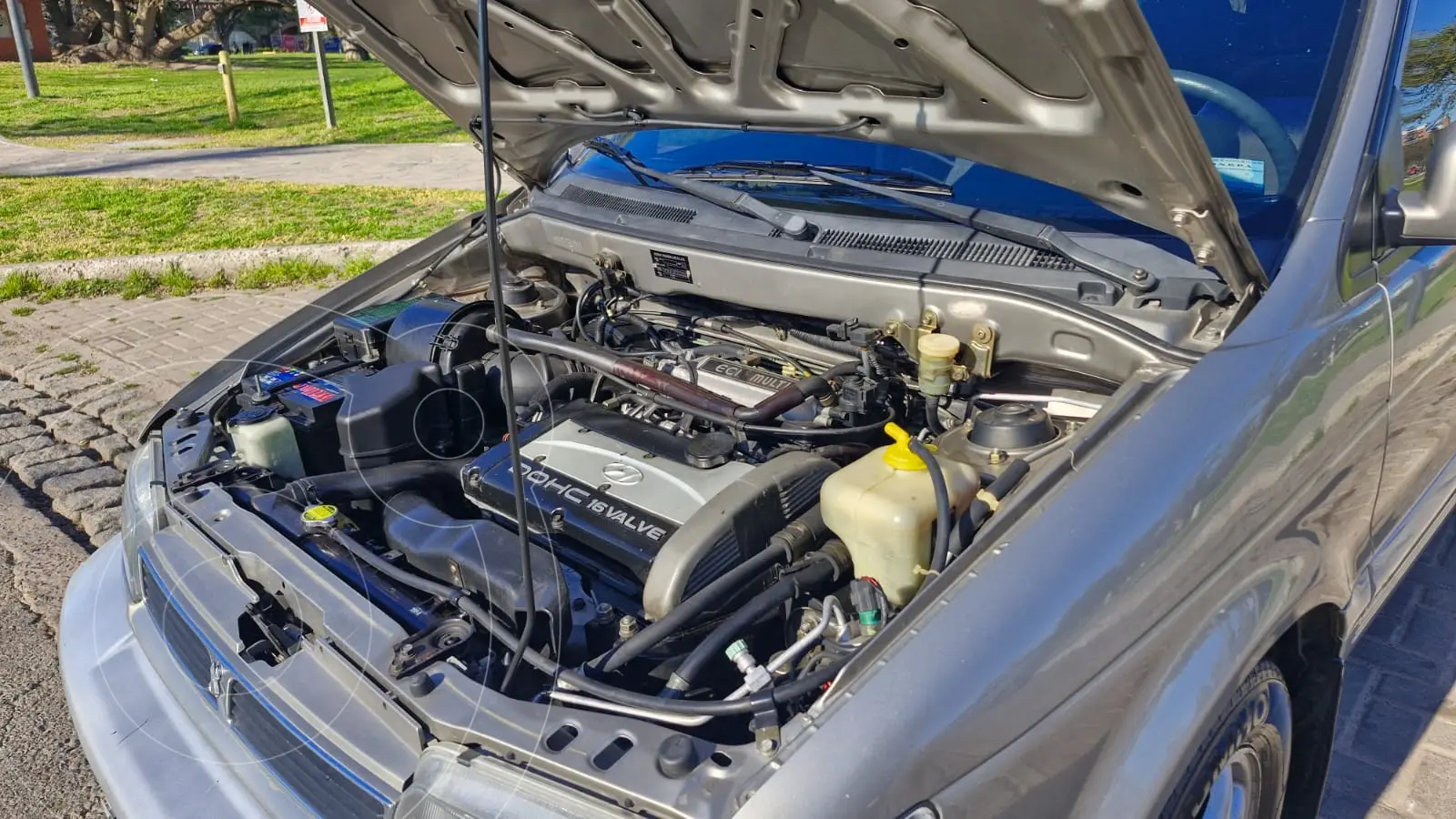 Miniatura 7