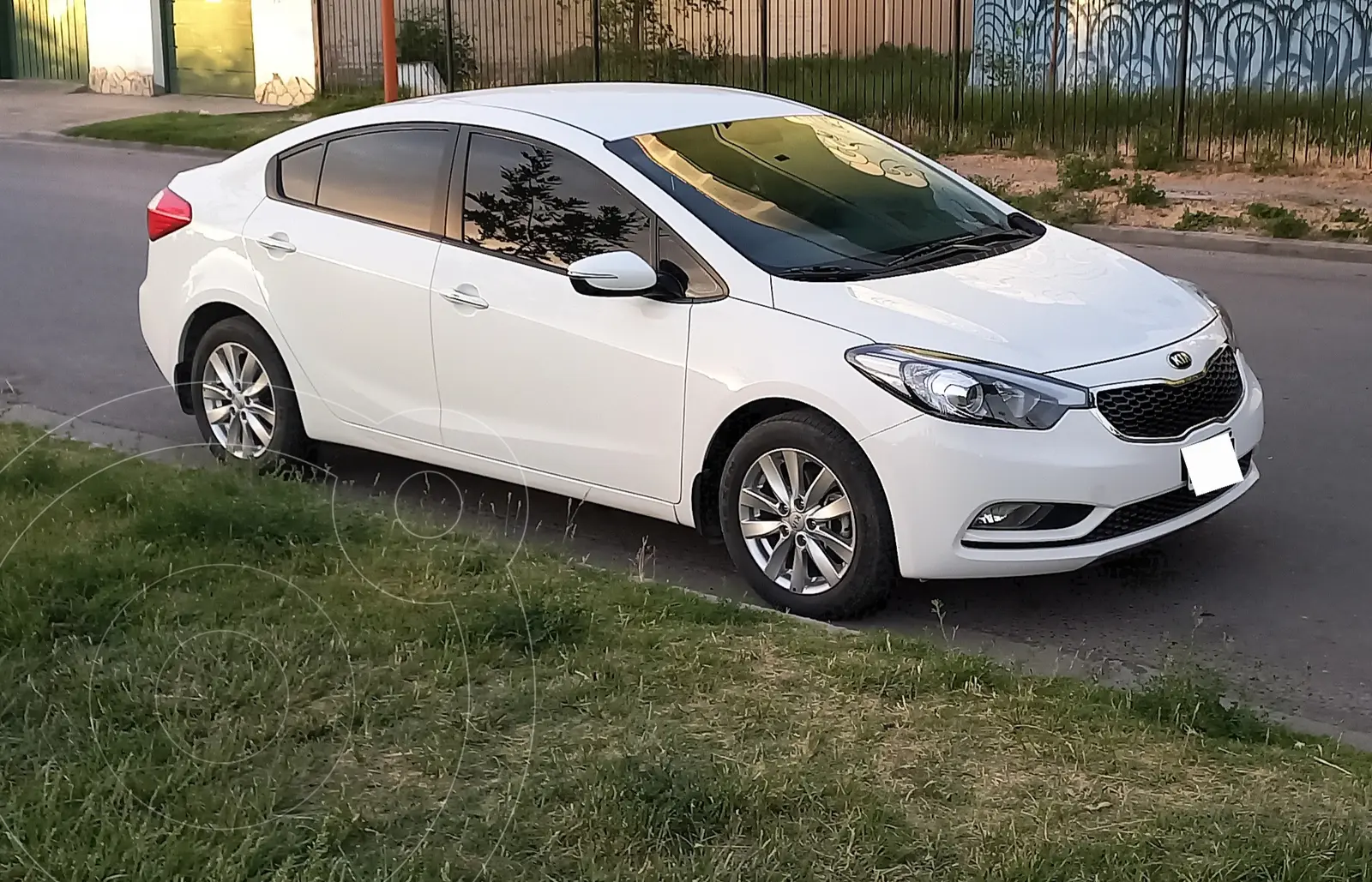 Miniatura 8