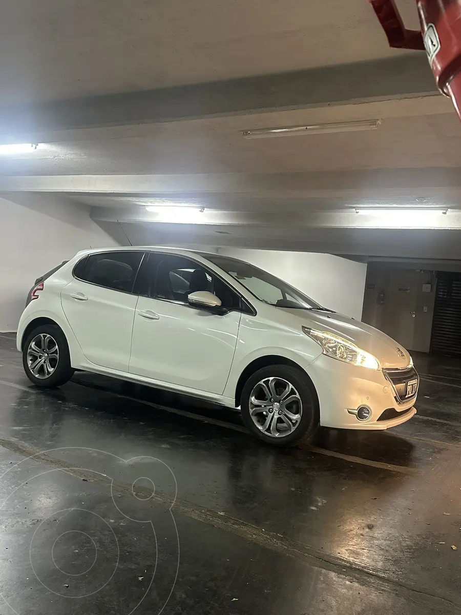 Miniatura 8