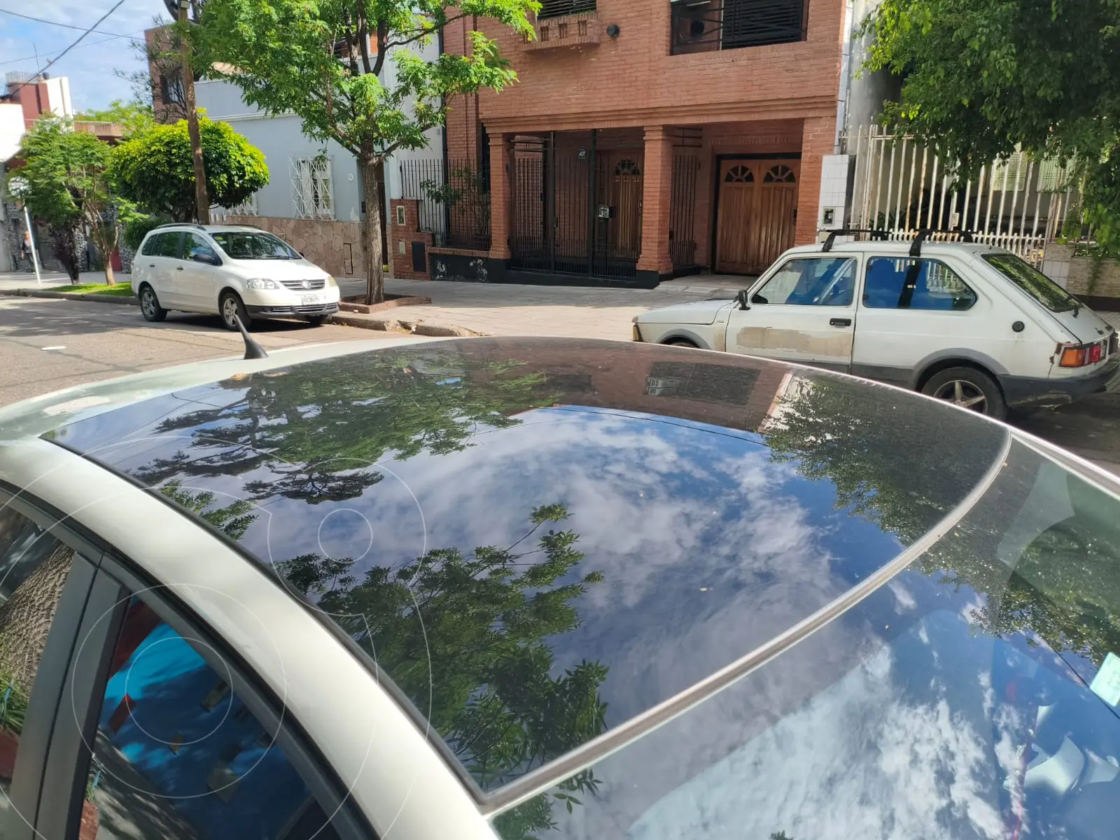 Miniatura 7