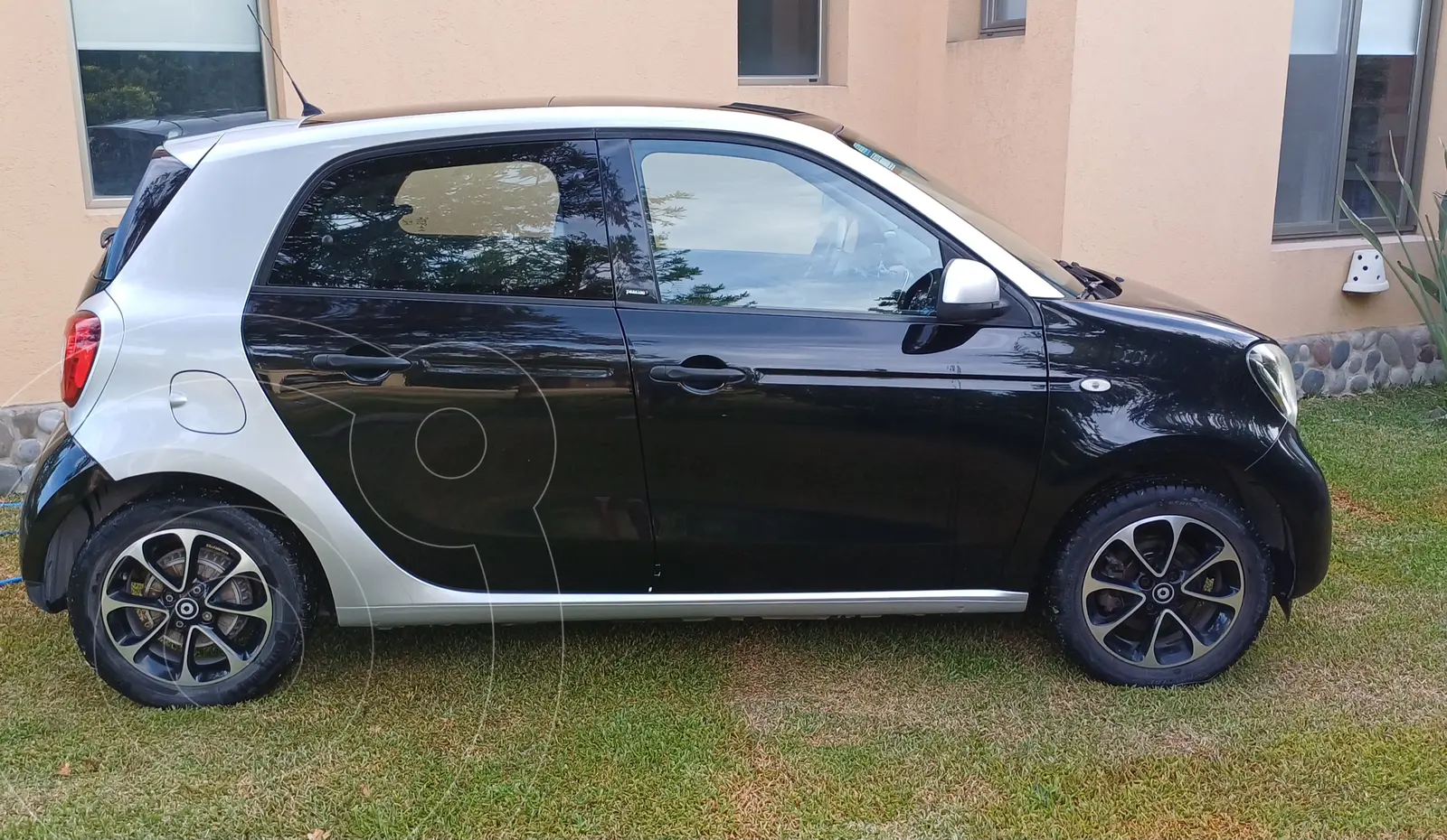 Miniatura 7