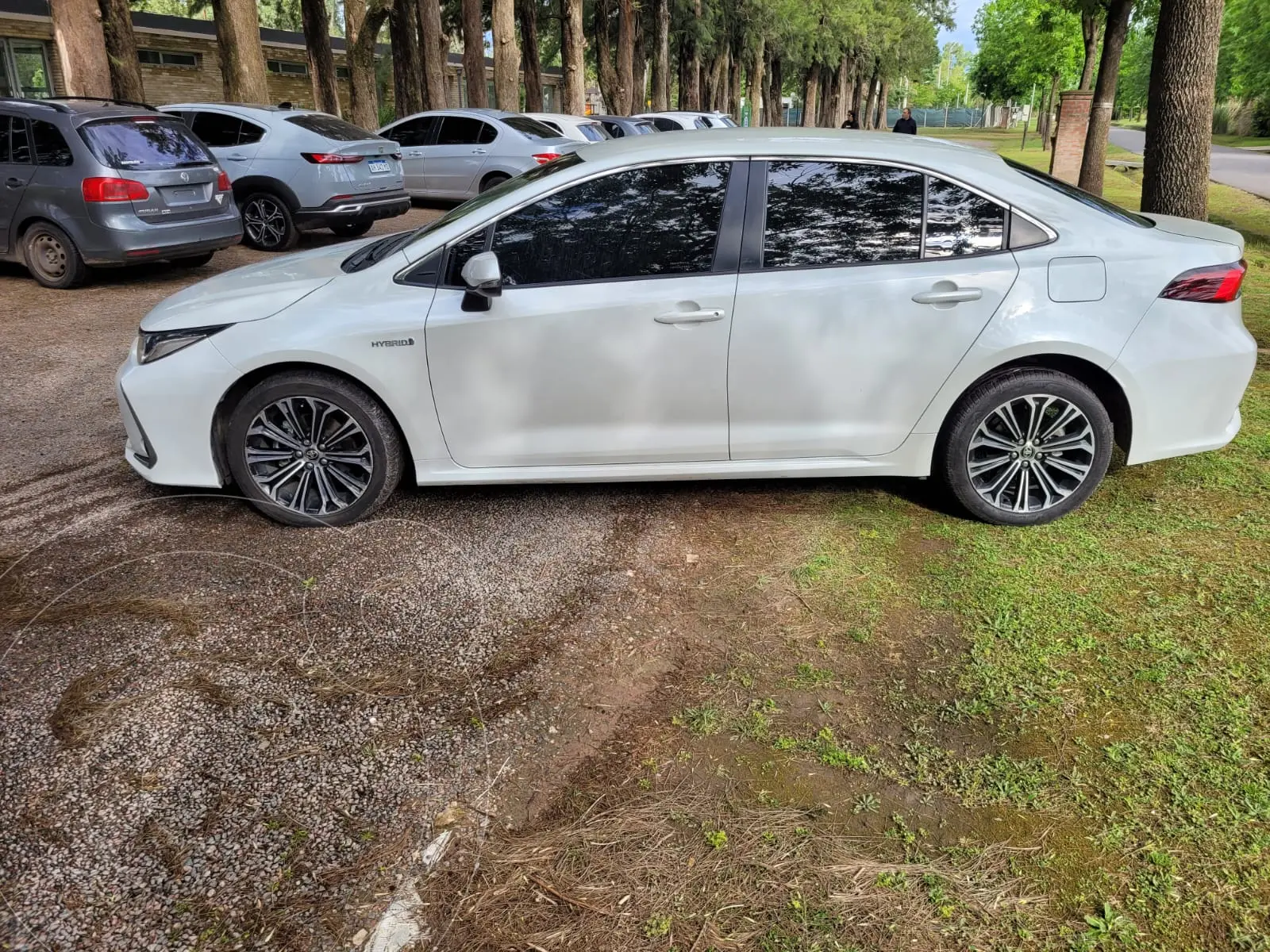 Miniatura 4
