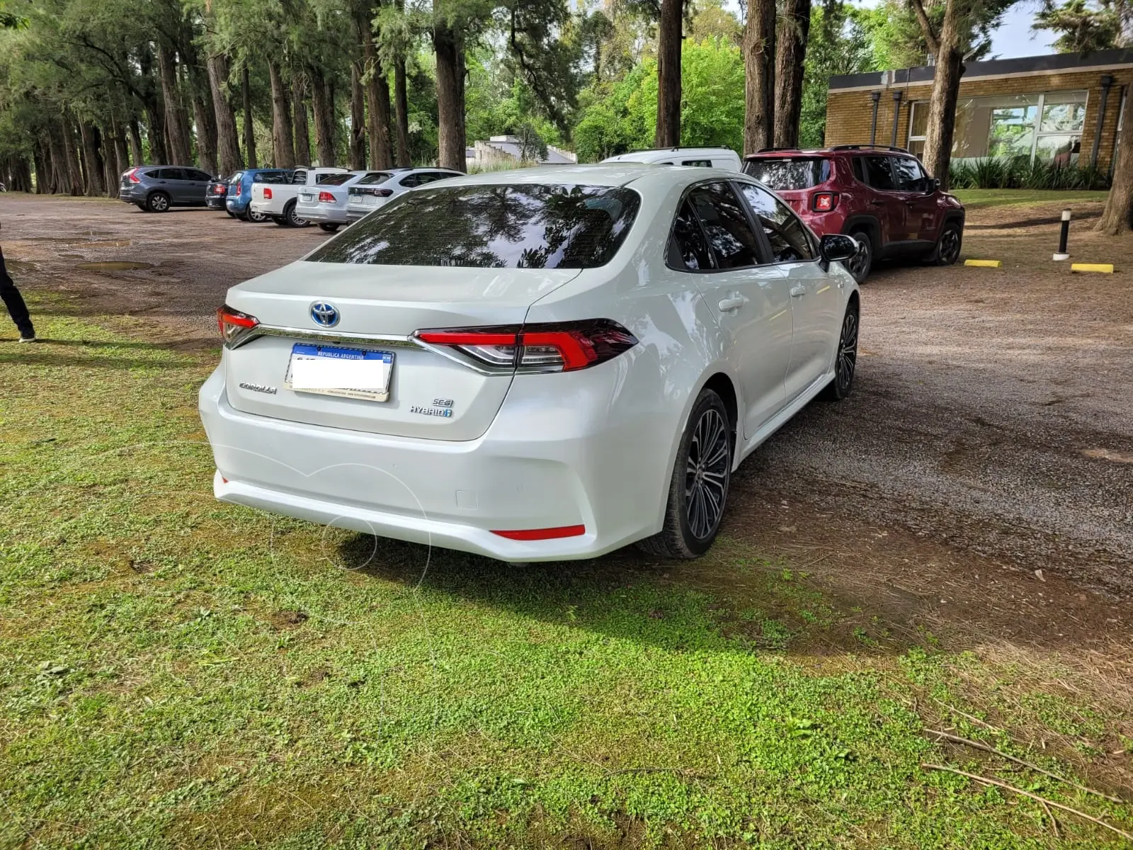 Miniatura 8