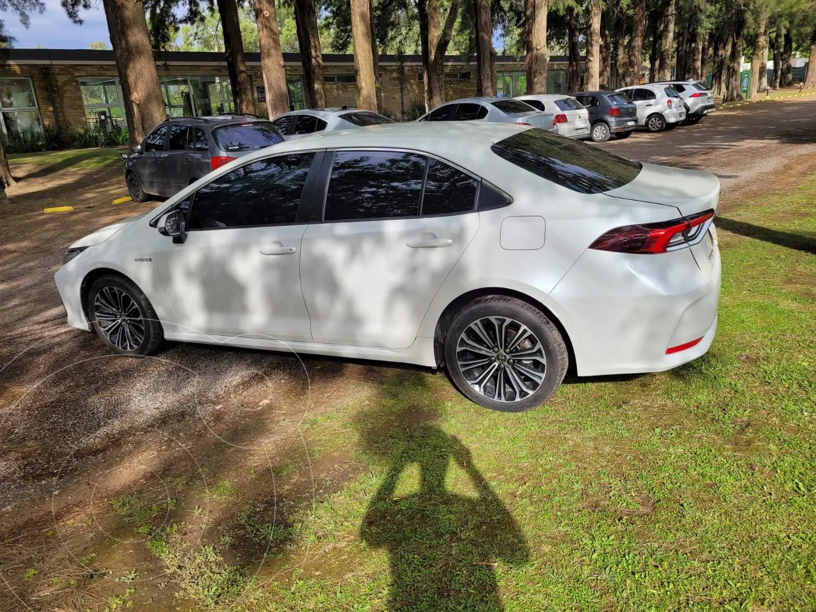 Miniatura 7