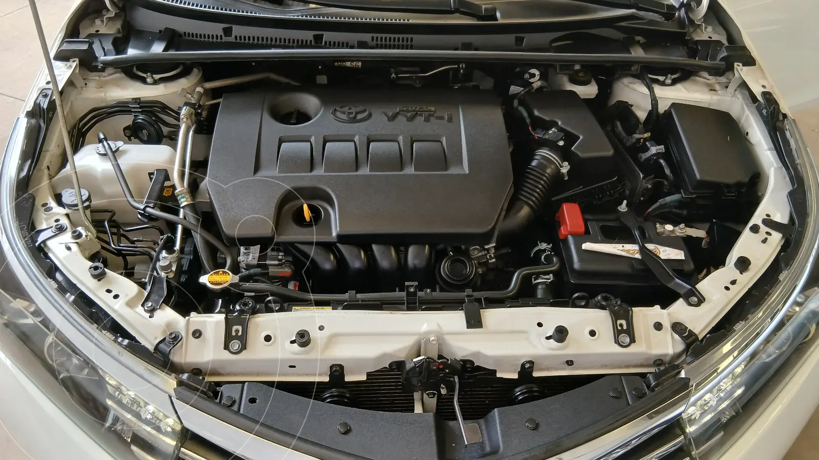 Miniatura 7