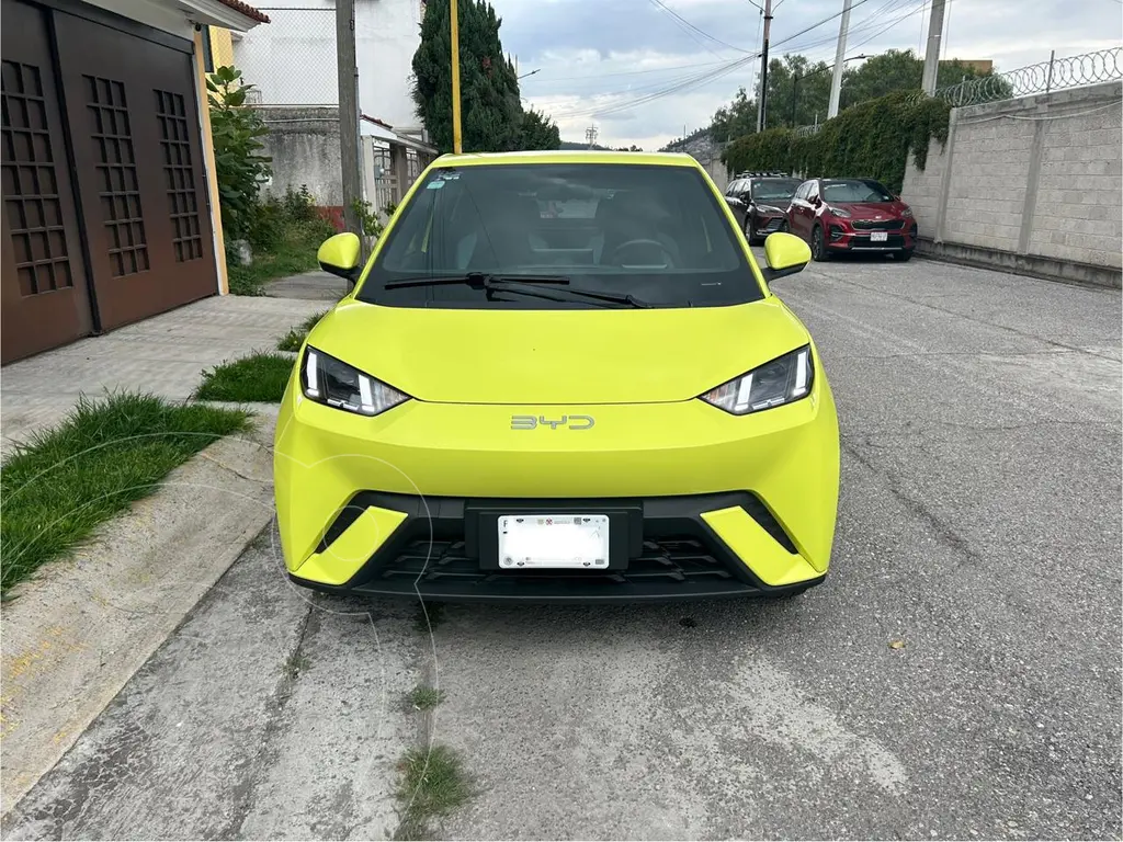 BYD dolphin-mini 380km (2025)