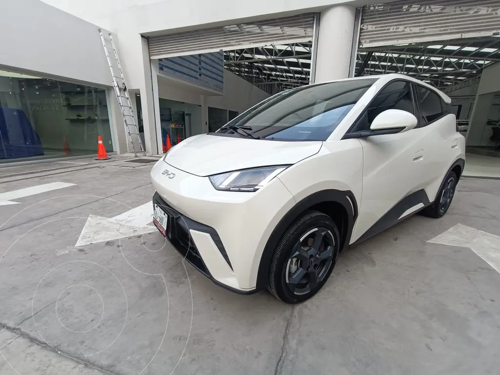 BYD dolphin-mini 300km (2025)