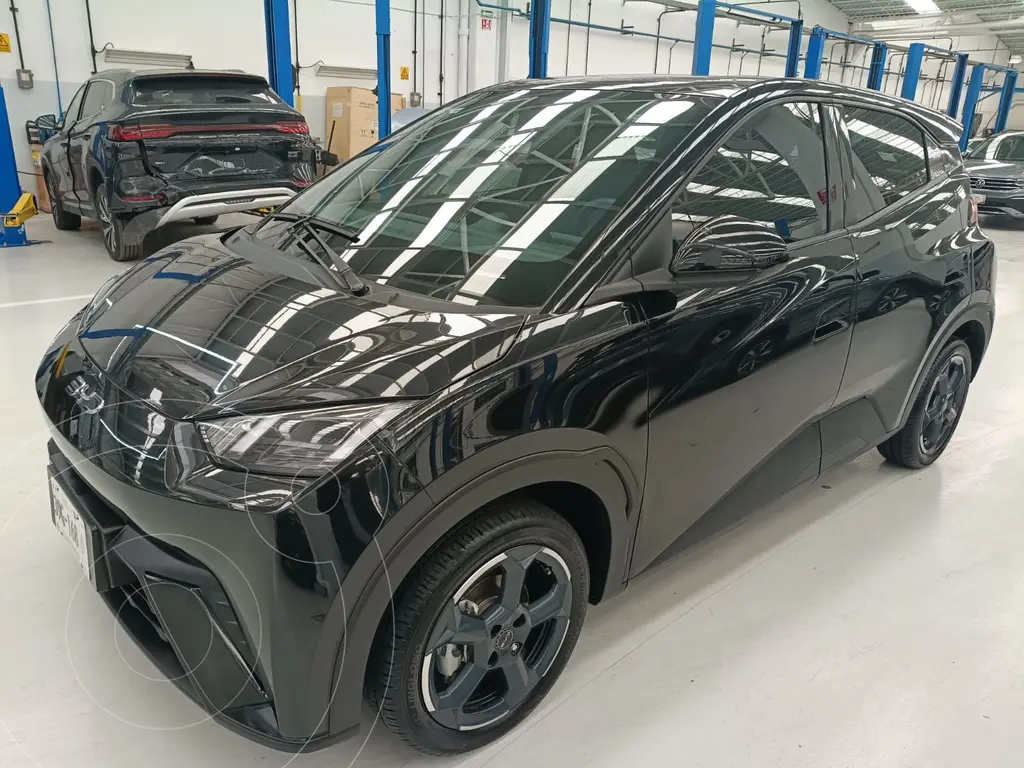 BYD Dolphin Mini 380km 2025